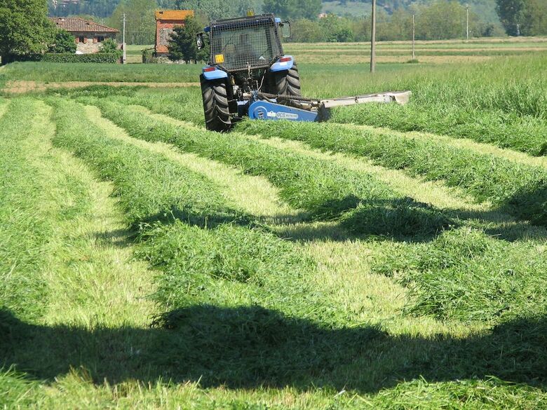 Agroturismo Fattoria Di Marena