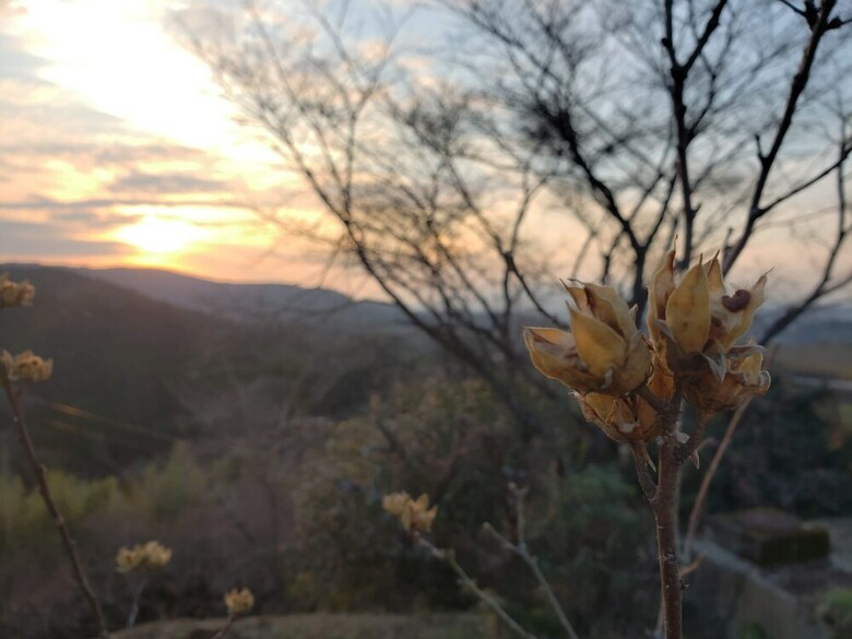 Hotel Aso Tourist Base