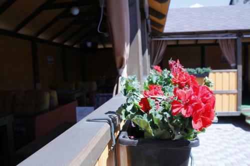 Globus Hotel