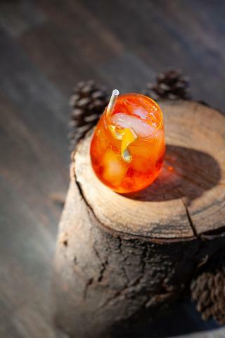 Lodge Huemules Reserva de Monta�a