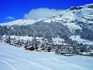 Hotel H�tel Des Alpes