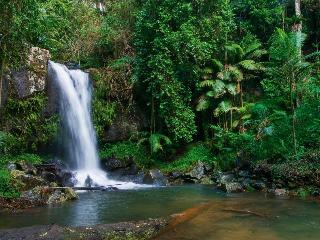 Hotel Pethers Rainforest Retreat