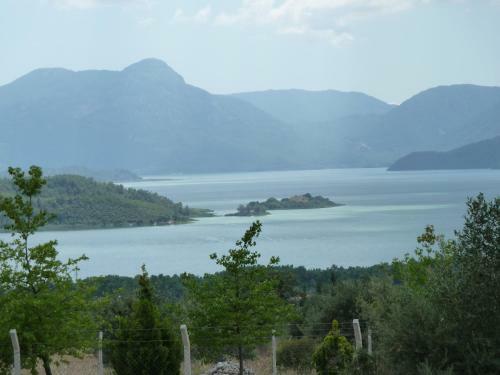 Begonville Villa