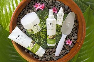 Hotel Bodhi Tree Yoga Resort