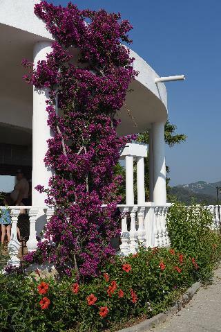 Marmaris Resort & Spa Hotel