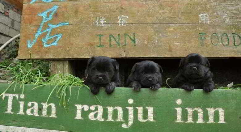 Albergue Tianranju Inn Longsheng
