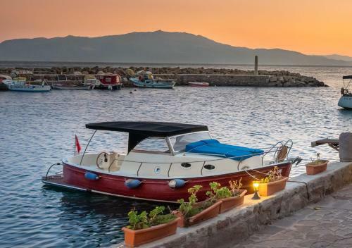 Assos Nazlihan Spa Hotel-special Category