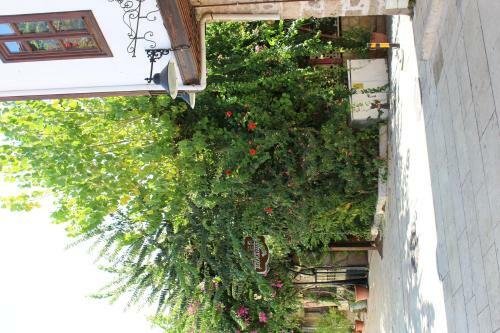 Hotel Lazer Pension