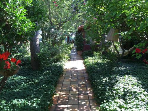 Hostal Hotel Happy Caretta