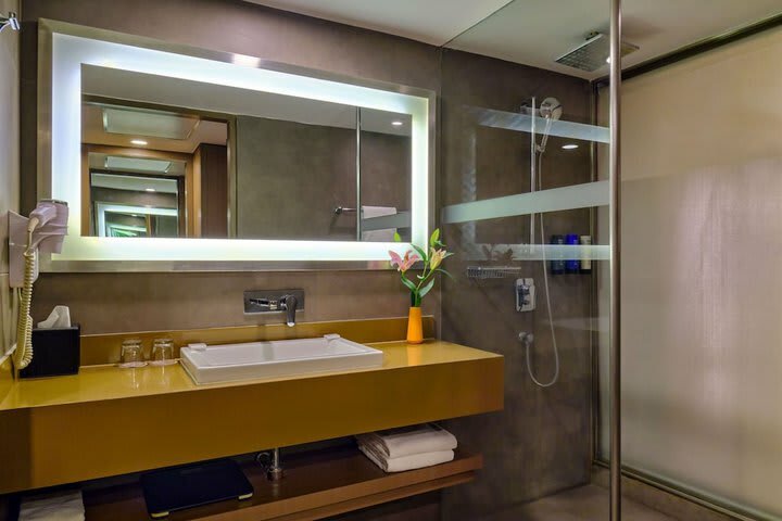 Hotel Novotel Ahmedabad