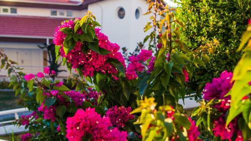 Hotel Garcia Resort & Spa