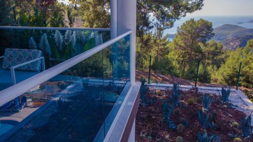 Hotel Garcia Resort & Spa