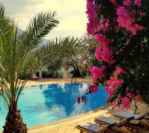 Paradise Garden Hotel