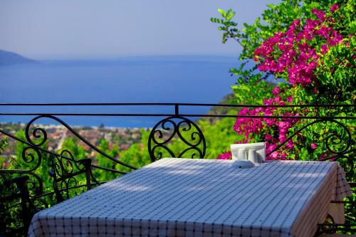Paradise Garden Hotel
