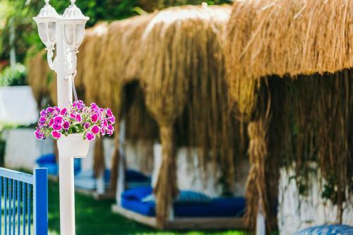 Monta Verde Hotel & Villas