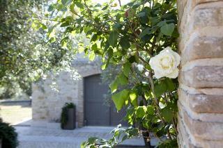 Hotel Torri E Merli Boutique