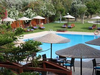 Hotel Vallian Village