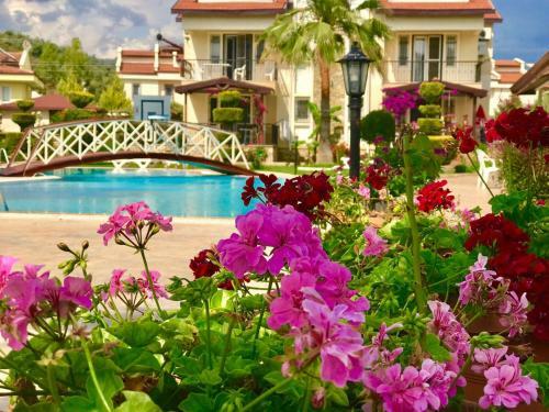 Lale Apartments Fethiye