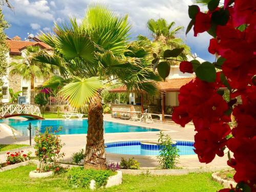 Lale Apartments Fethiye