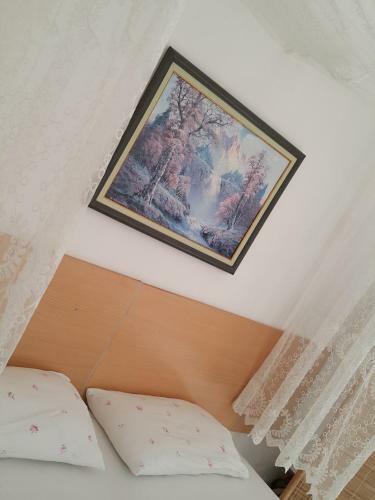 Hostal Mursel Pension Garden Hotel
