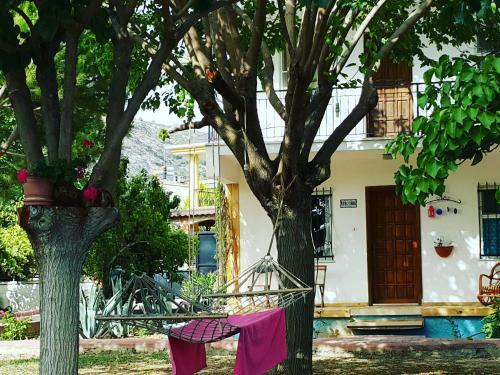 Hostal Mursel Pension Garden Hotel