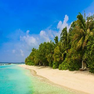Hotel Vakarufalhi Island Resort