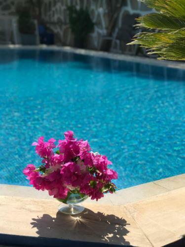Hostal Artunc Hotel