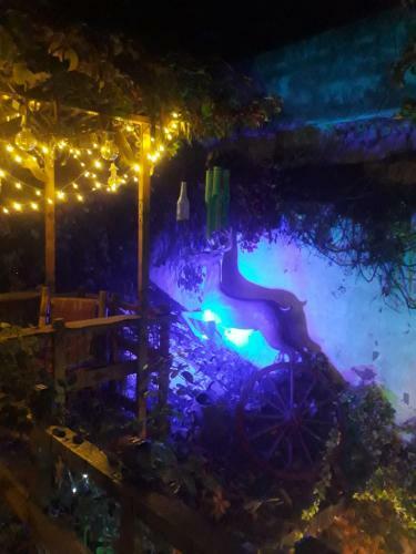 Apartamento Antique Celtik House
