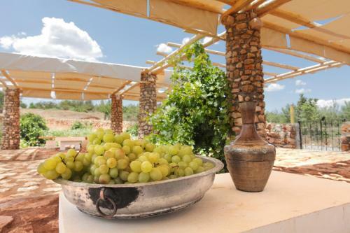 Posada Kasr-i Nehroz Hotel
