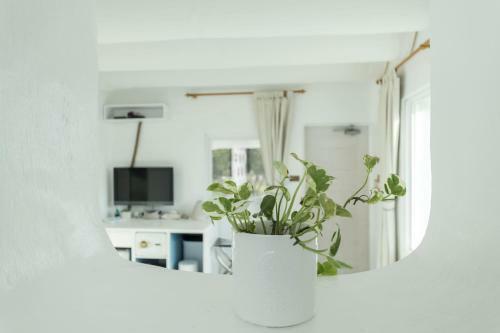 Bed & Breakfast South Border Design Hotel