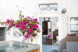 Villa Alexander's Suites