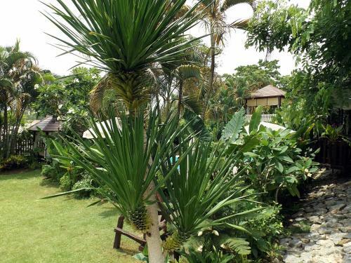 Hotel Homestay Chiangrai