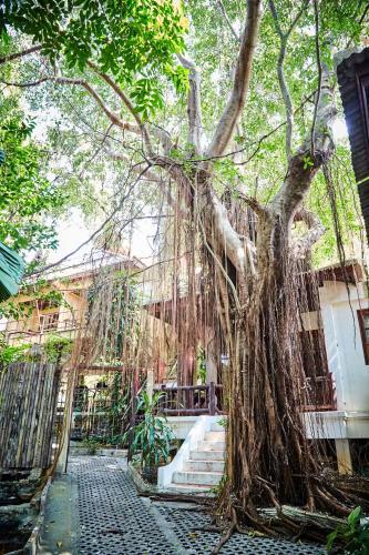 Hotel Natural Wing Health Spa And Resort