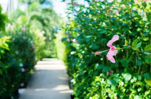 Hotel All Seasons Naiharn Phuket