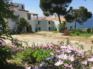 Punta Paliagi No.2