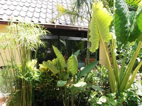 Op Bungalow