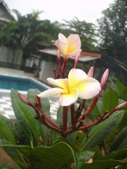 Hostal Kanravee Guesthouse