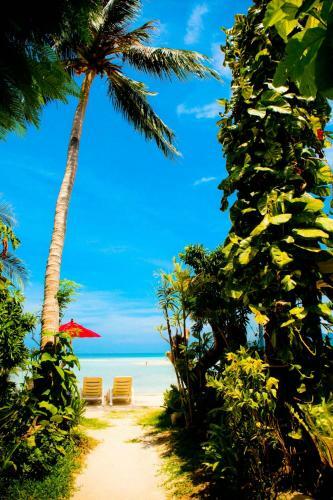 Samui Island Beach Resort & Hotel