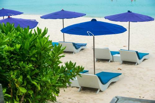 Hotel Synergy Samui Resort