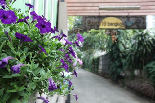 Serene Bangkok Bed And Breakfast