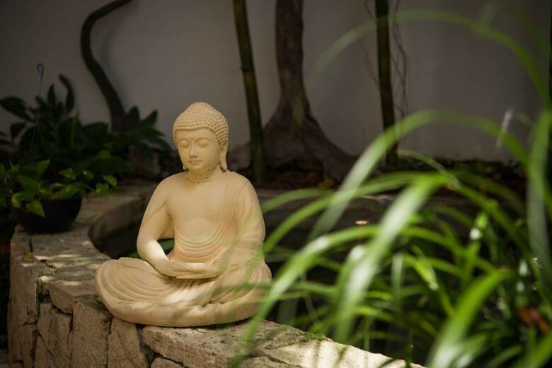 Hotel Ocean Zen Suites On 5th Avenue - Adults Only