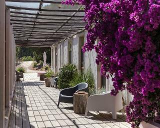 Uva Do Monte By Blueberry Farm
