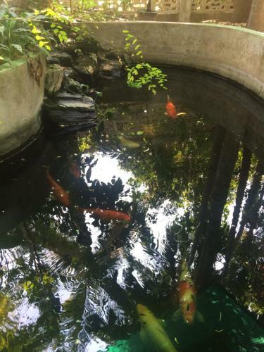 Hostal Chok Dee Guesthouse II