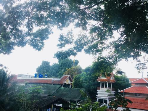 Albergue Panda House Chiang Mai