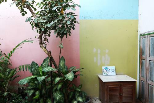 Hostal Pim Bed & Breakfast