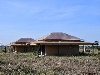 Serengeti Wildebeest Camp