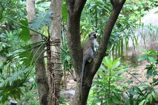 Hotel Wag Hill Lodge & Spa