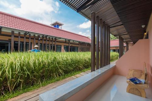 Dolphin Hotel Phuket