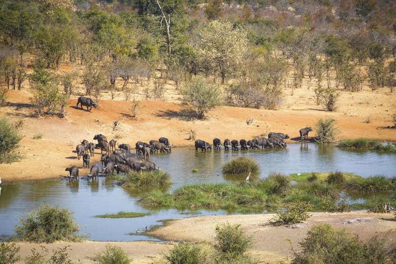 Hotel Victoria Falls Safari Suites