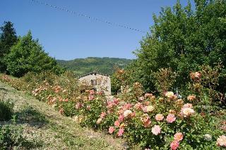 Hostal Agriturismo  Farm Corte Dei Mori